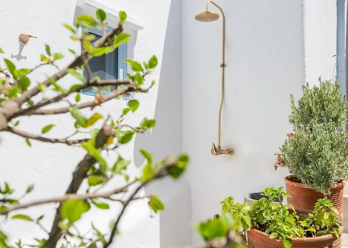 Historic Stone House With Garden - Mykonos Village Ano Mera